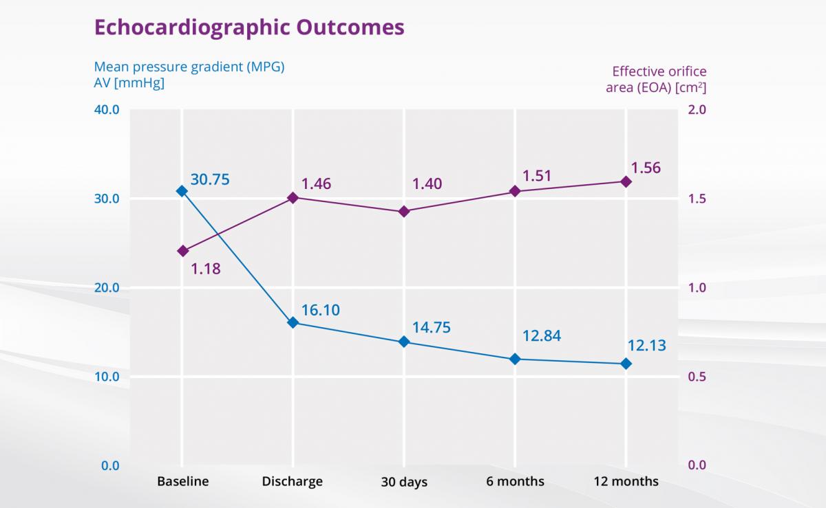 slide9echocardiographic_outcomes_0.jpg